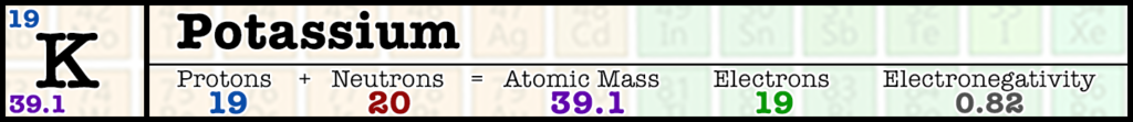 19-potassium-the-quantum-bicycle-society