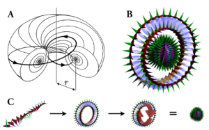 the substructure of the Williamson-van der Mark electron