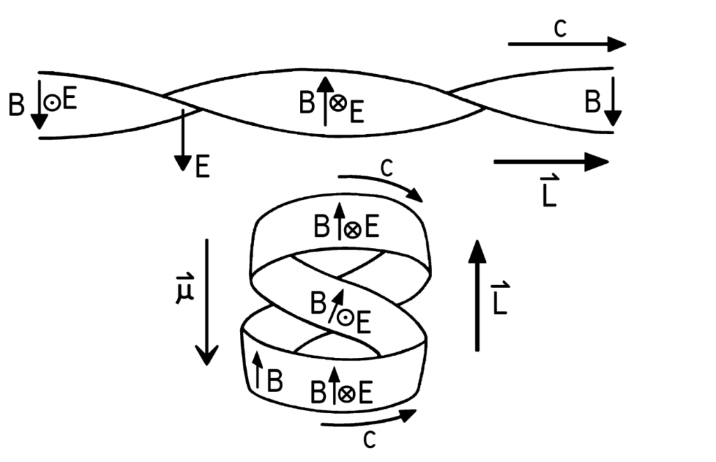 A particle's internal photon as a twisted strip